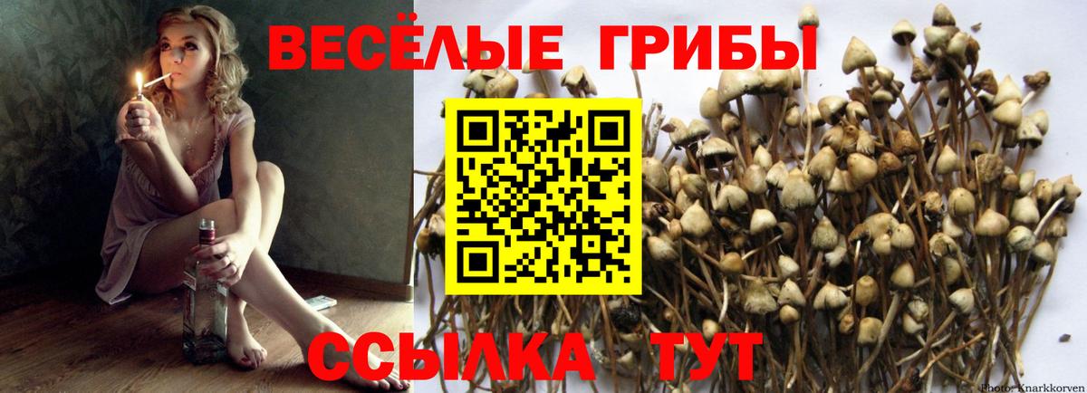 Псилоцибиновые грибы мухоморы  где купить наркотик  Грязи  Вход с VPN  Галлюциногенные грибы MAGIC MUSHROOMS 